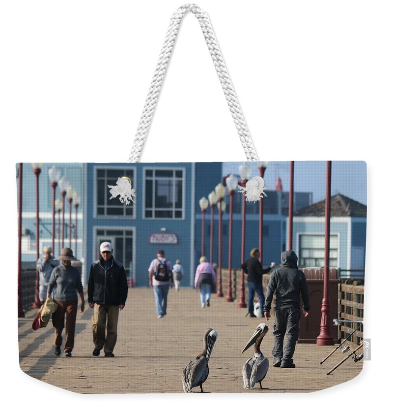 Wild Weekender Tote Bag featuring the photograph Morning Stroll by Christy Pooschke