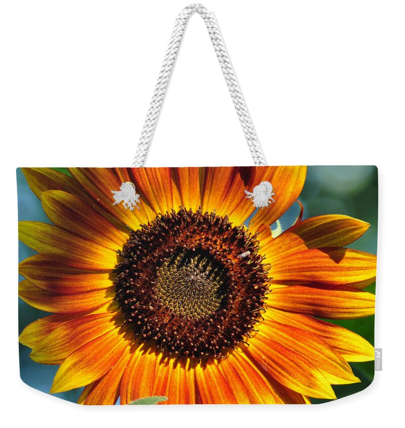 Flower Weekender Tote Bag featuring the painting Morning Sun by Gail Butler