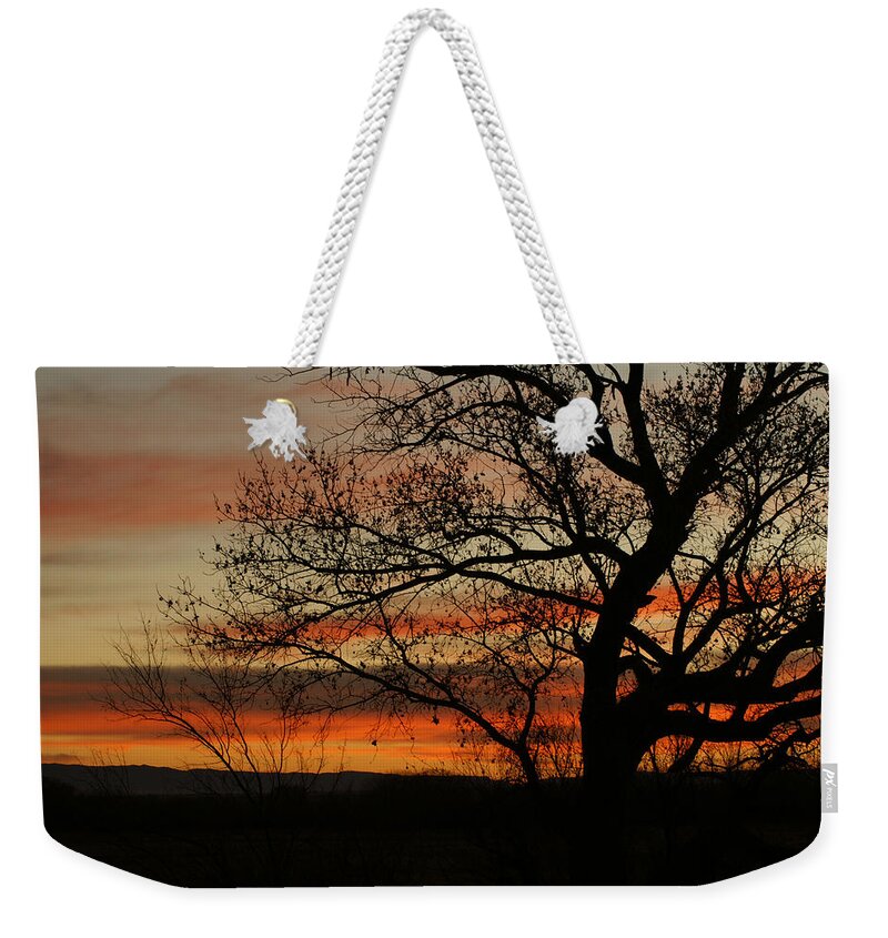 Sunset Weekender Tote Bag featuring the photograph Morning View in Bosque by James Gay