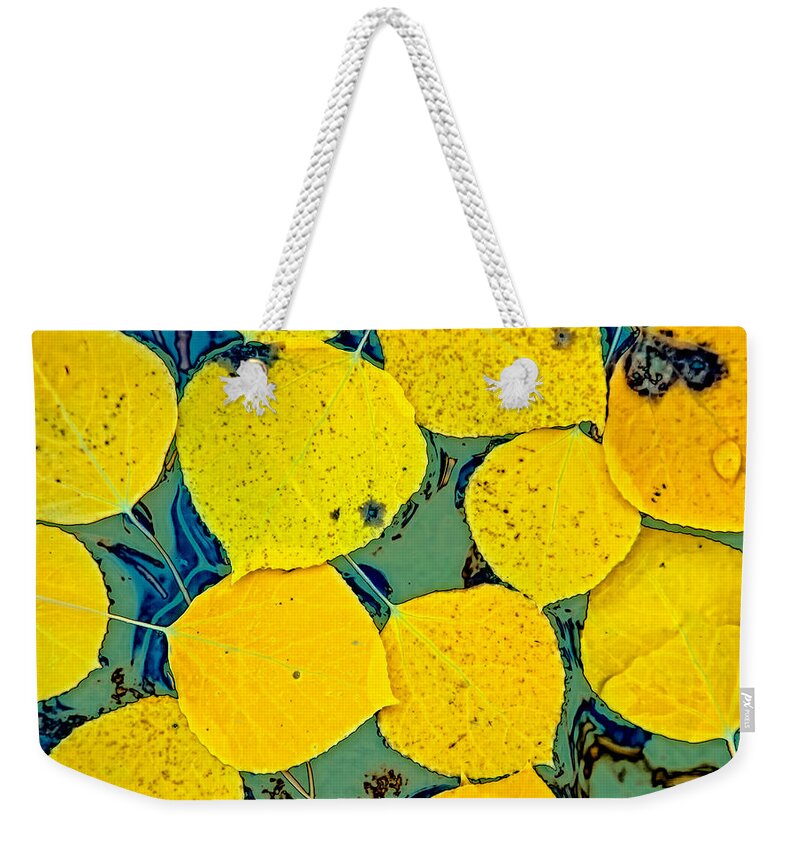Fall Weekender Tote Bag featuring the photograph Mosaic by Jonathan Nguyen