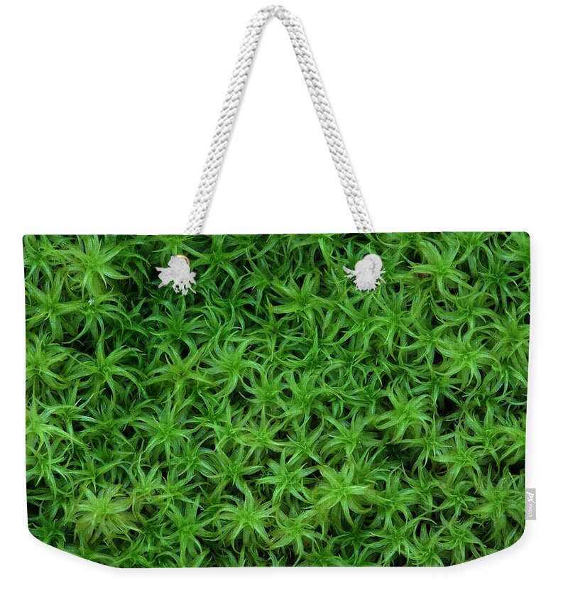 Atrichum Sp. Weekender Tote Bag featuring the photograph Moss by Daniel Reed