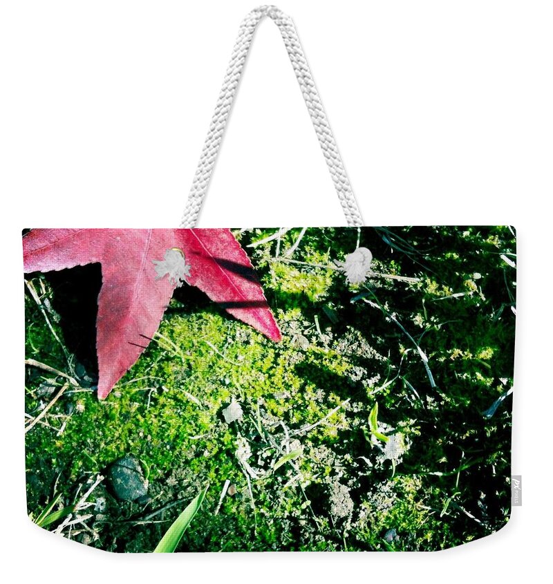 Moss Weekender Tote Bag featuring the photograph Moss by Denise Railey