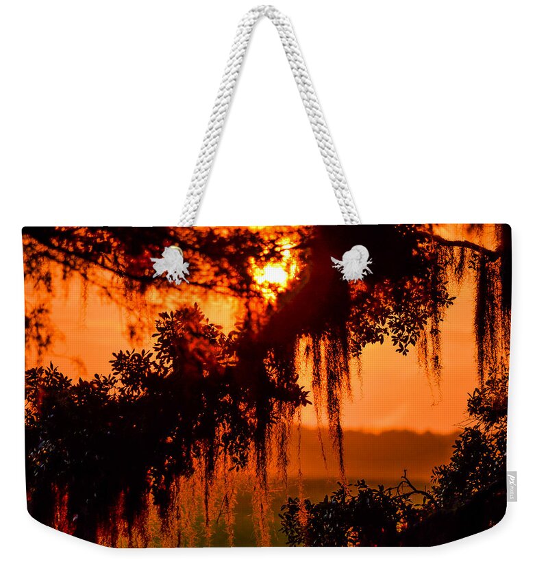 Sunrise Weekender Tote Bag featuring the photograph Moss Meets Sun by Mary Hahn Ward