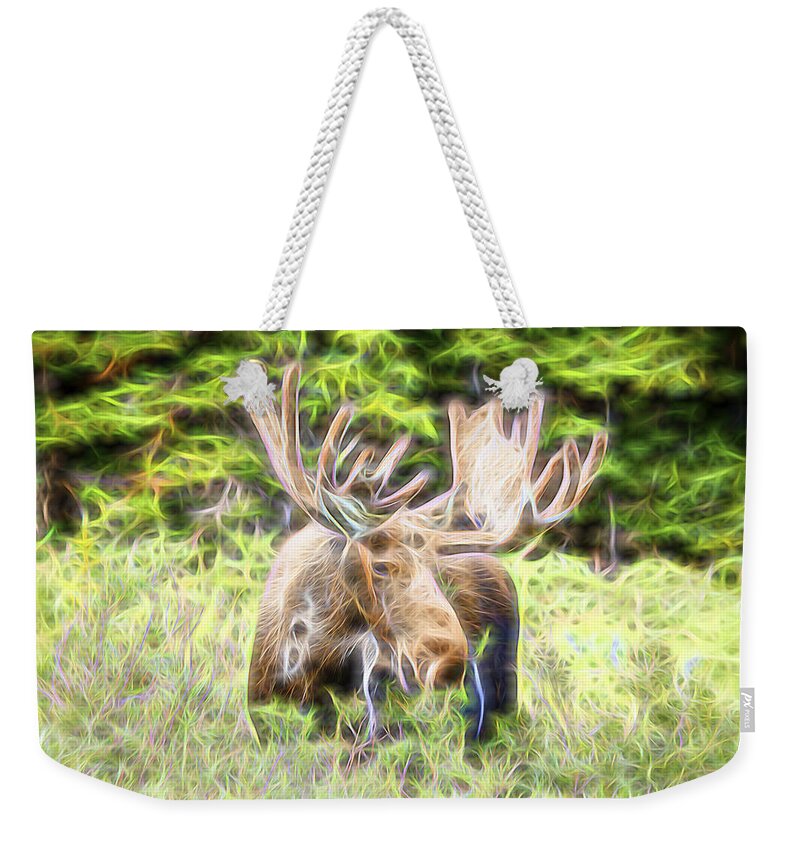 North America Moose Weekender Tote Bag featuring the photograph Moose Glow by James BO Insogna