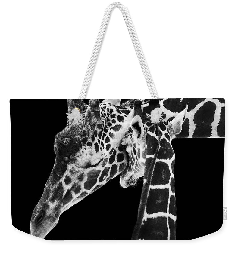 3scape Photos Weekender Tote Bag featuring the photograph Mother and Baby Giraffe by Adam Romanowicz