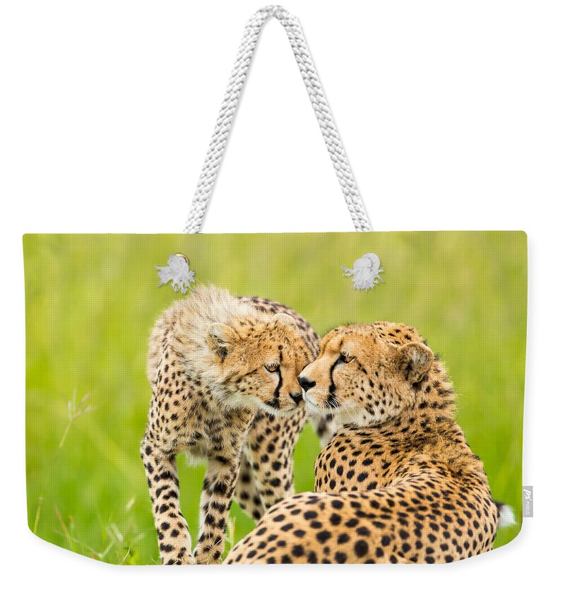 Kenya Weekender Tote Bag featuring the photograph Mother Love by 1001slide