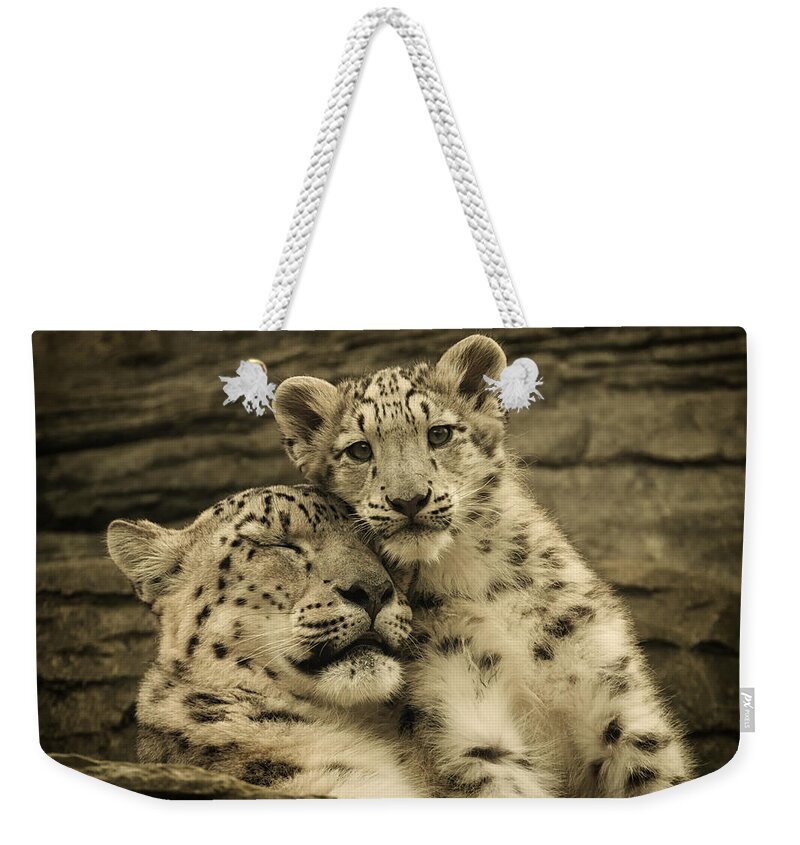 Marwell Weekender Tote Bag featuring the photograph Mother's Love by Chris Boulton