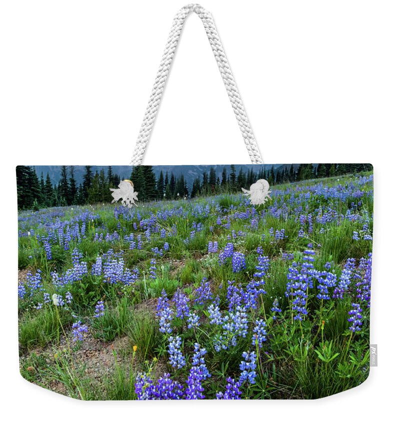 Tranquility Weekender Tote Bag featuring the photograph Mount Rainier Sunrise At Yakima Park by Bradwetli Photography