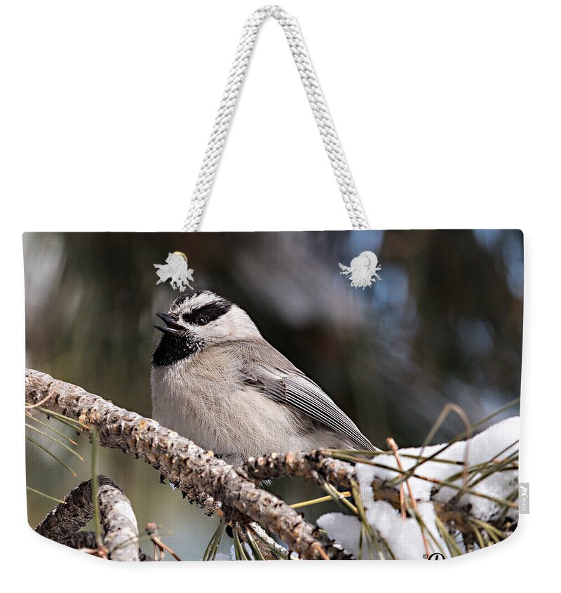 Mountain Chickadee Weekender Tote Bag featuring the photograph Mountain chickadee Sings by Dawn Key