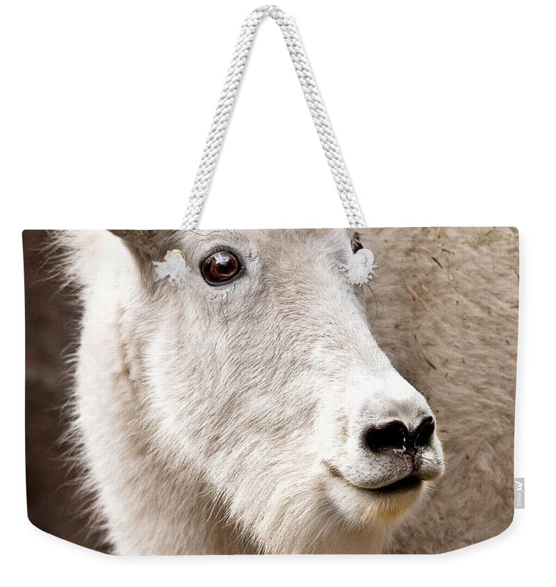 Animal Weekender Tote Bag featuring the photograph Mountain Goat by Jean Noren