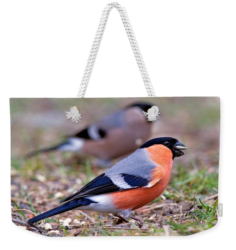 Mr And Mrs Bullfinch Weekender Tote Bag featuring the photograph Mr and Mrs Bullfinch by Torbjorn Swenelius