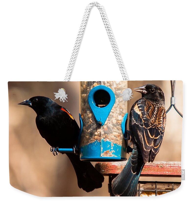 Red Winged Blackbird Weekender Tote Bag featuring the photograph Mr. and Mrs. Red Winged Blackbird by Robert L Jackson