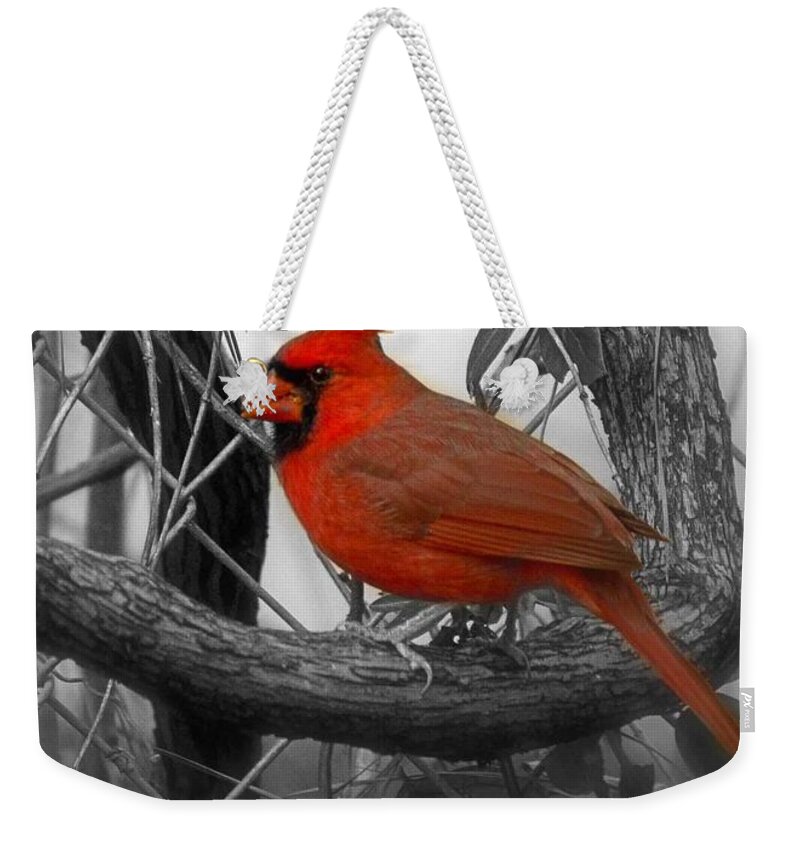 Redbird Weekender Tote Bag featuring the photograph Mr Cardinal -Card by Sandra Clark
