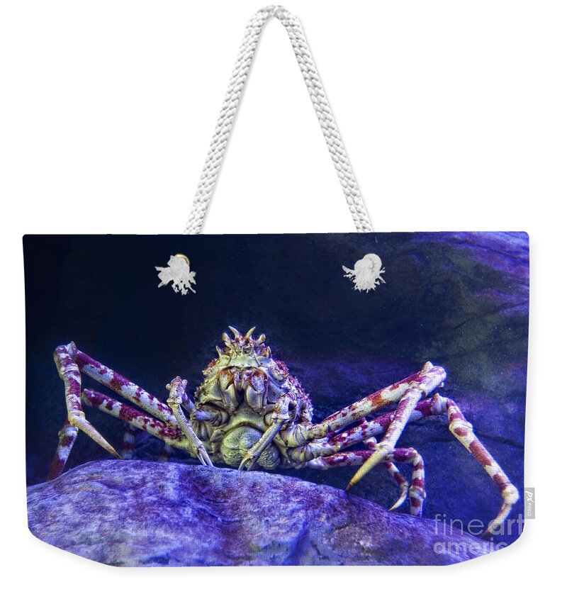 Crab Weekender Tote Bag featuring the photograph Mr Crab by Timothy Hacker