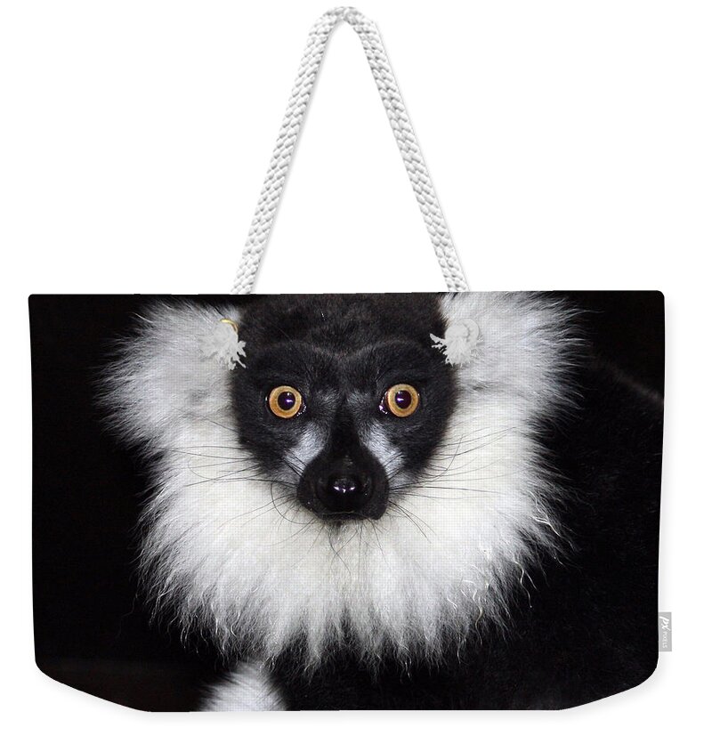 Black & White Ruffed Lemur Weekender Tote Bag featuring the photograph Mr Lemur by Terri Waters