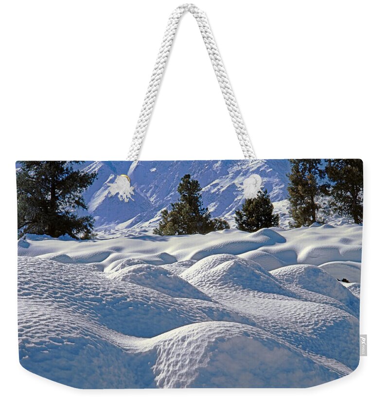 Mt. Tom Weekender Tote Bag featuring the photograph 2M6403-Mt. Tom from Sherwin Grade V by Ed Cooper Photography