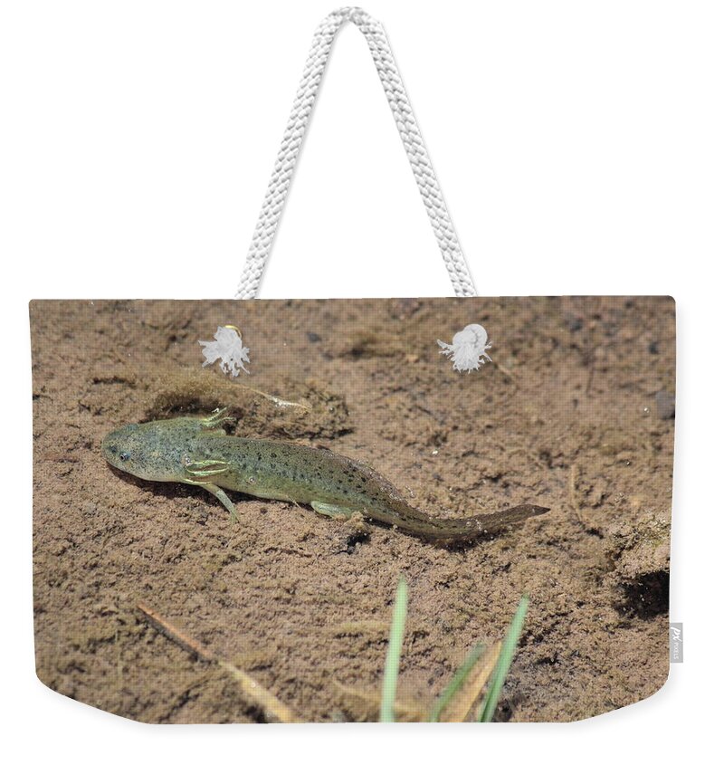 Mud Puppy Weekender Tote Bag featuring the photograph Mud Puppy by Shane Bechler