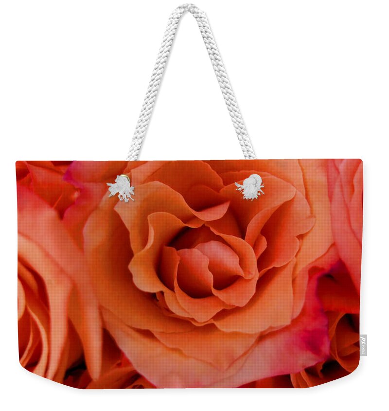 Roses Weekender Tote Bag featuring the photograph Multi Rose Orange Panoramic by Joseph Hedaya