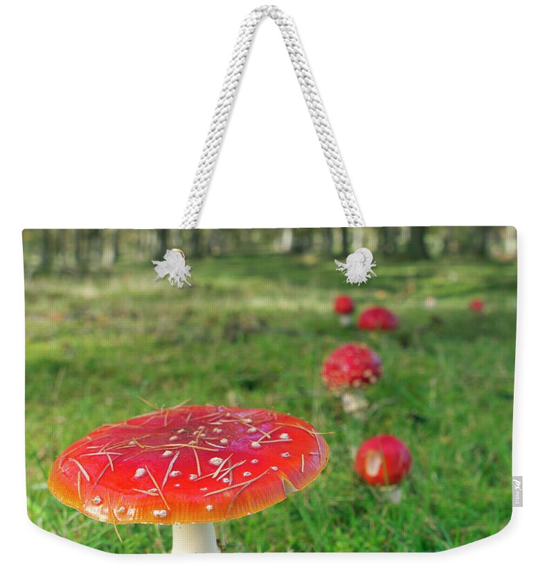 Scenics Weekender Tote Bag featuring the photograph Muscaria Family by By Mediotuerto