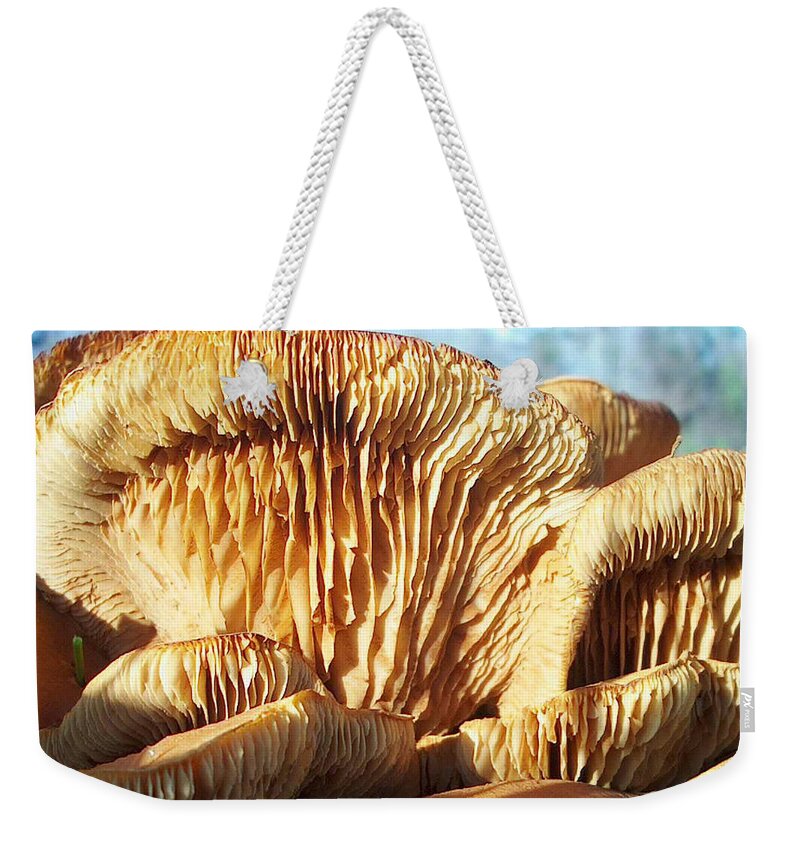 Mushrooms Weekender Tote Bag featuring the photograph Mushrooms by Jan Marvin by Jan Marvin