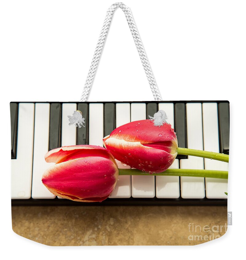 Floral Weekender Tote Bag featuring the photograph Musical Interlude by Edward Fielding