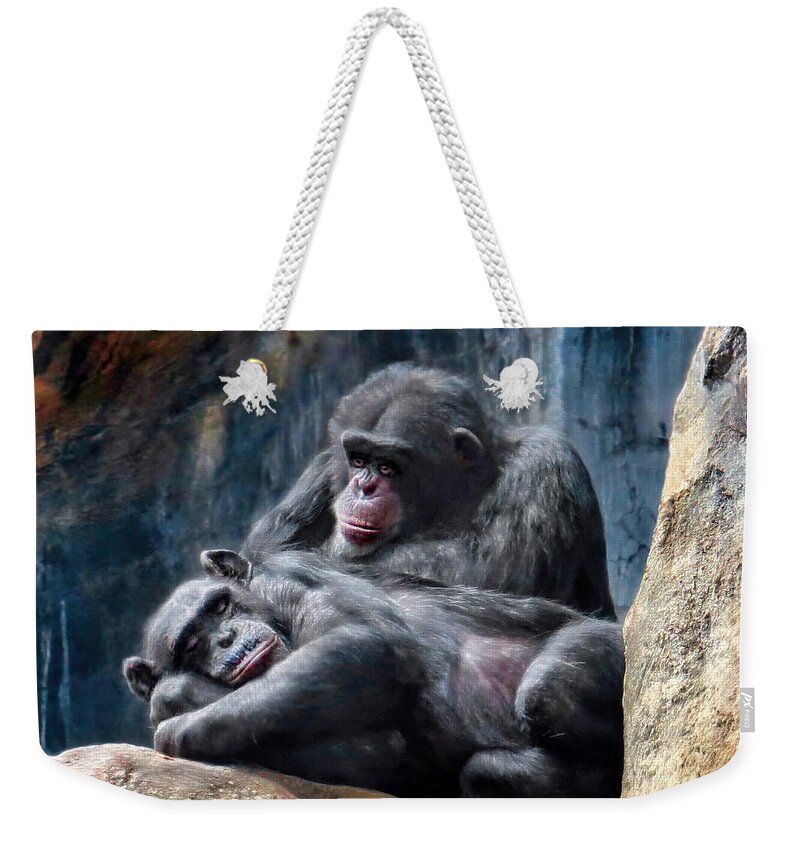 Chimpanzee Weekender Tote Bag featuring the photograph Must Be Chimpanzee Love by Jennie Breeze