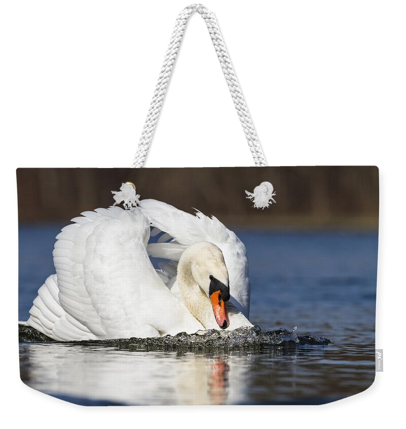 Feb0514 Weekender Tote Bag featuring the photograph Mute Swan In Defensive Posture Bavaria by Konrad Wothe