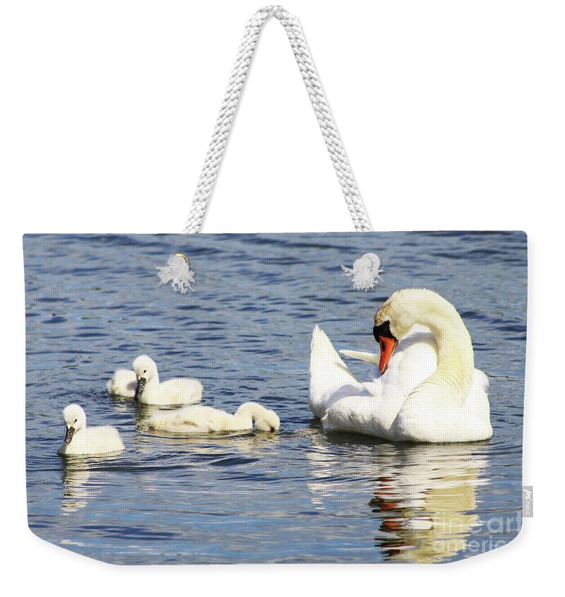 Swan Weekender Tote Bag featuring the photograph Mute Swans by Alyce Taylor