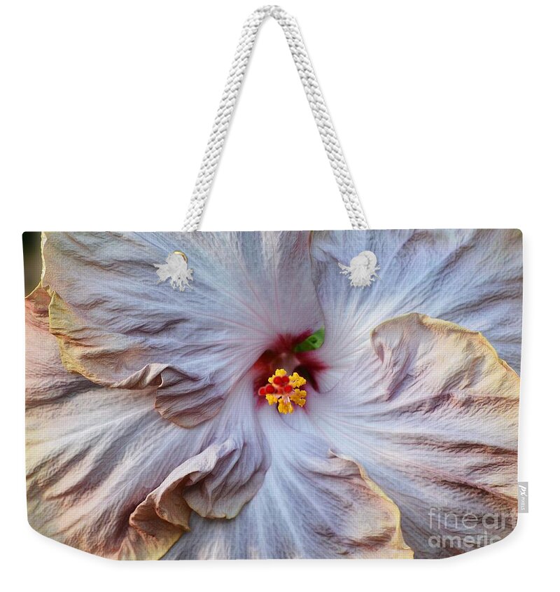 Flowers Weekender Tote Bag featuring the photograph Muted Hibiscus by Cindy Manero