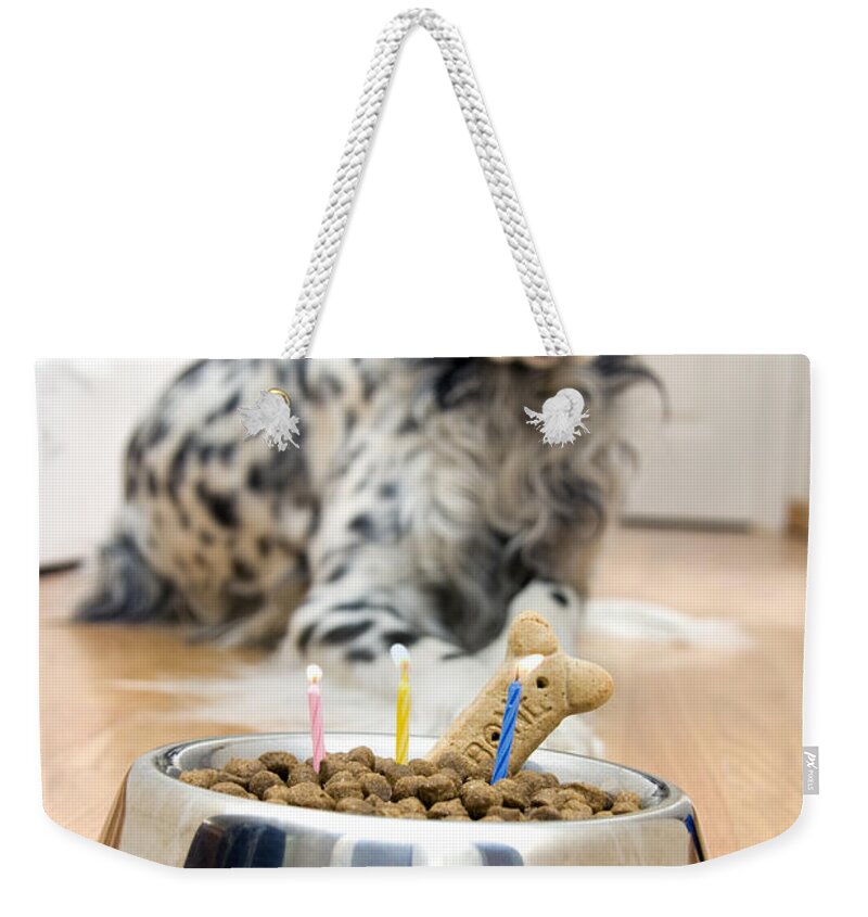Dog Weekender Tote Bag featuring the photograph My best friend's birthday by Alexey Stiop
