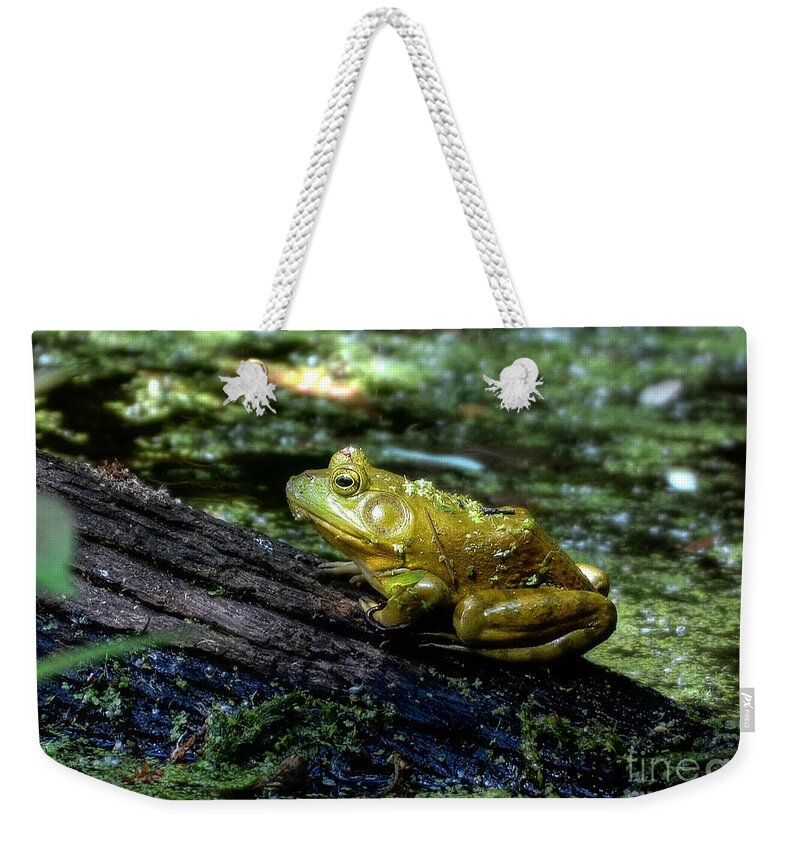 Frog Weekender Tote Bag featuring the photograph My Handsome Prince by Kathy Baccari