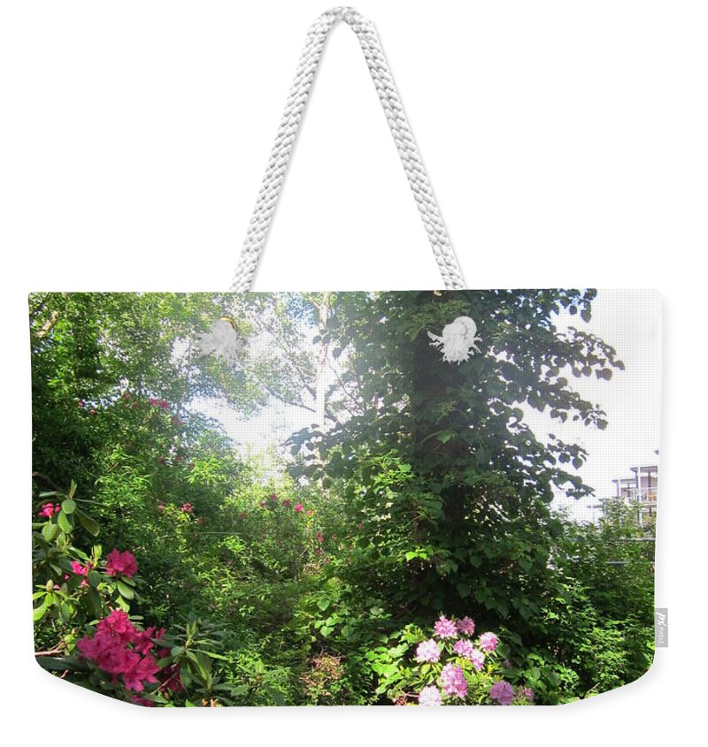 Trees Weekender Tote Bag featuring the photograph My Haven by Rosita Larsson