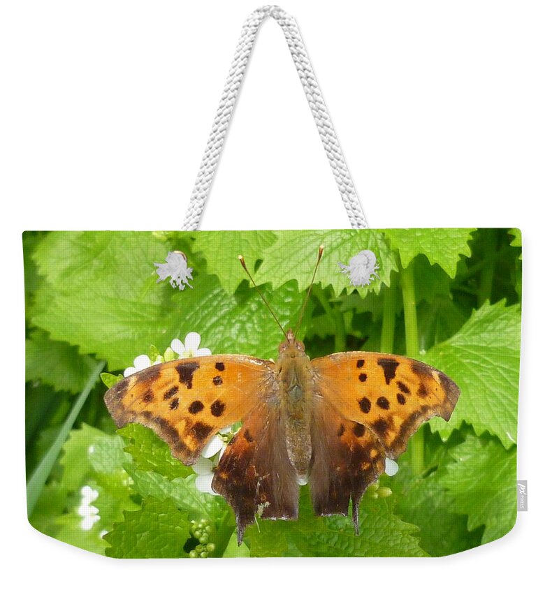 Question Mark Butterfly Weekender Tote Bag featuring the photograph Mystery Lady by Lingfai Leung