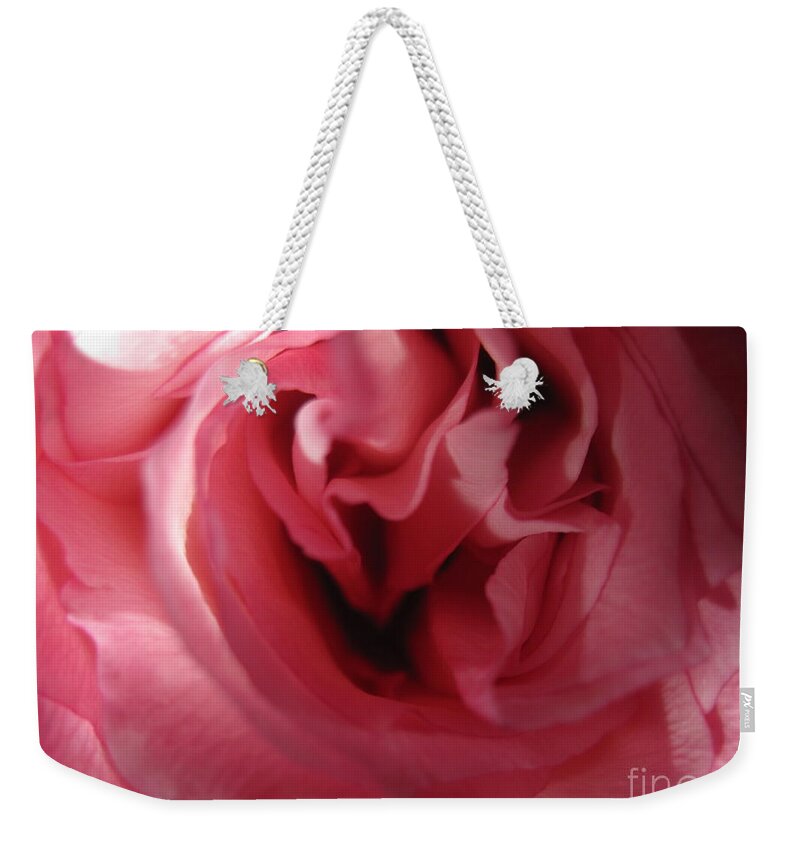 Floral Weekender Tote Bag featuring the photograph Mystery Pink Rose by Tara Shalton