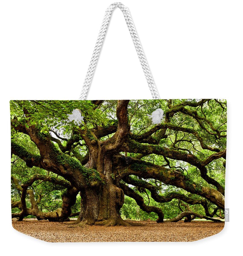  Johns Island Weekender Tote Bag featuring the photograph Mystical Angel Oak Tree by Louis Dallara