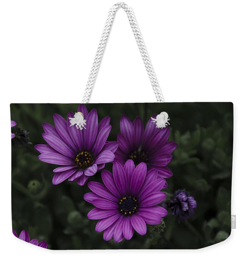 Mystical Weekender Tote Bag featuring the photograph Mystical Purple by Penny Lisowski