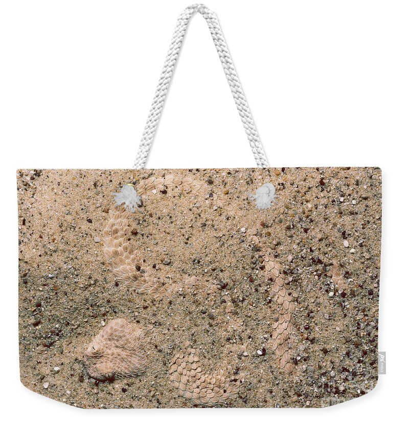 Texa Zoo Weekender Tote Bag featuring the photograph Namib Viper by Gregory G. Dimijian, M.D.