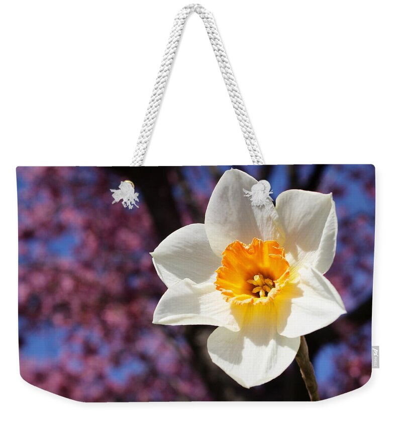 Skompski Weekender Tote Bag featuring the photograph Narcissus And Cherry Blossoms by Joseph Skompski