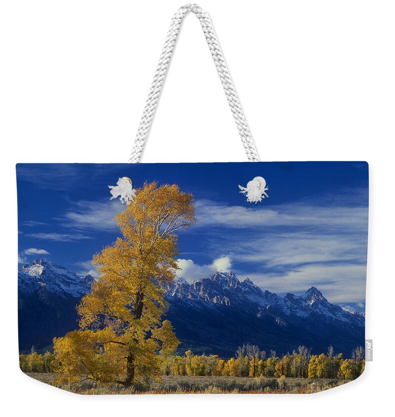 Dave Welling Weekender Tote Bag featuring the photograph Narrowleaf Cottonwoods Fall Color Teton by Dave Welling