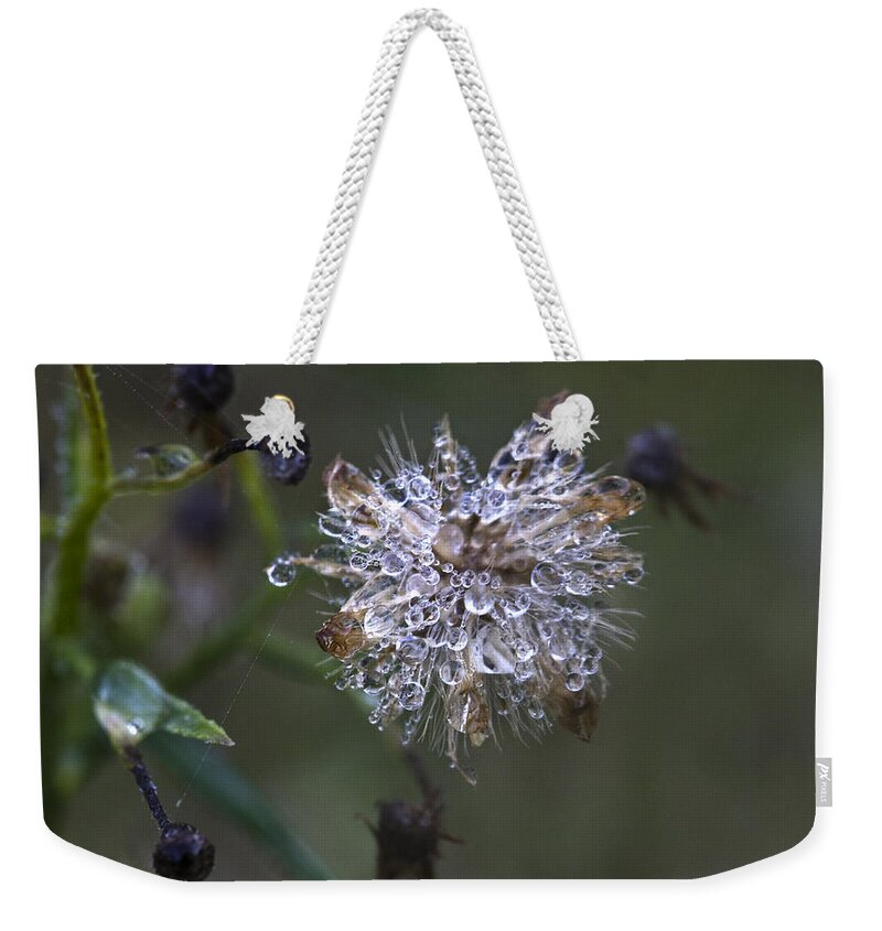 Jewel Weekender Tote Bag featuring the photograph Natural jewel by Raffaella Lunelli