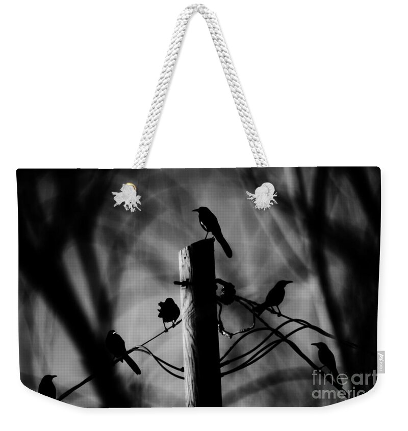 Birds Weekender Tote Bag featuring the photograph Nature in the Slums by Jessica S