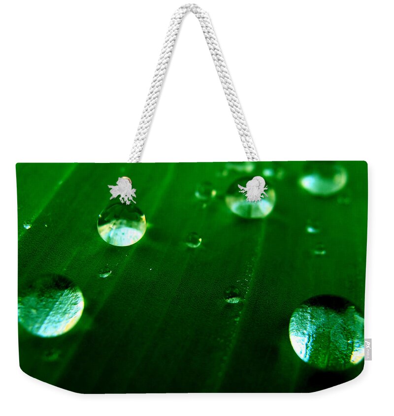 Leaf Weekender Tote Bag featuring the photograph Nature's Bowling by Bliss Of Art