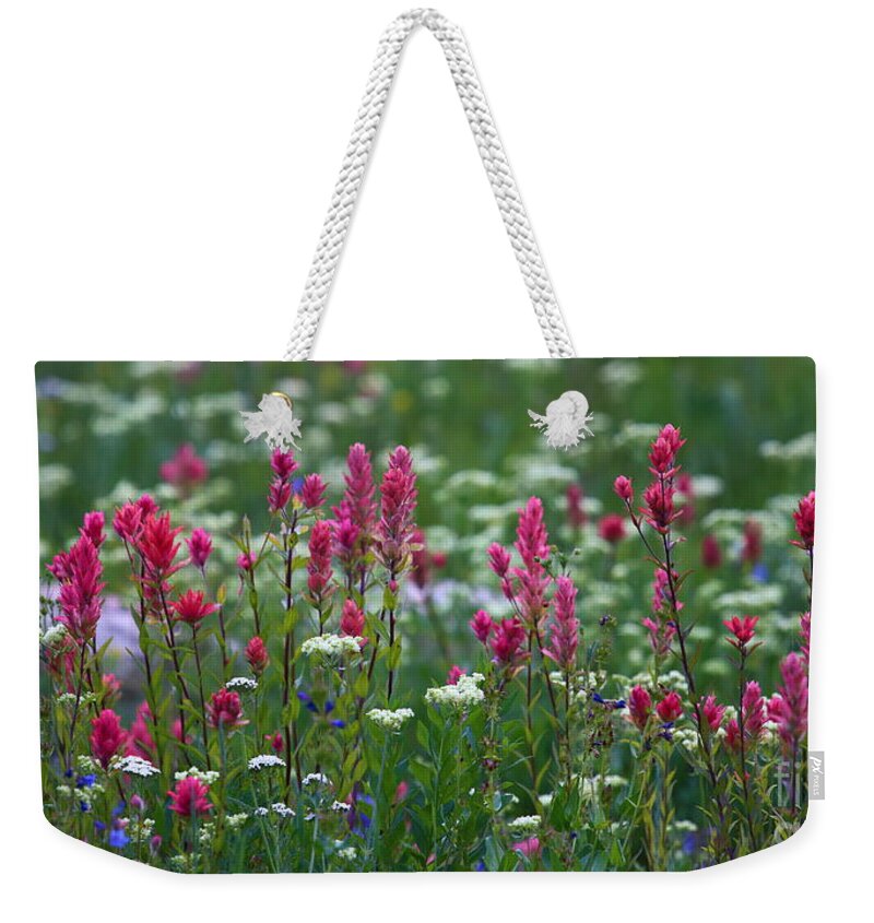 Indian Paintbrush Weekender Tote Bag featuring the photograph Nature's Front Row by Marty Fancy