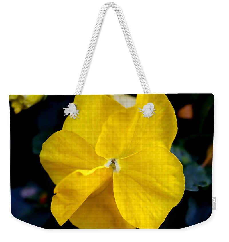 Flower Weekender Tote Bag featuring the photograph Nature's light by Milena Ilieva