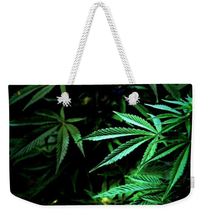 Mmj Weekender Tote Bag featuring the photograph Nature's Medicine by Jeanette C Landstrom