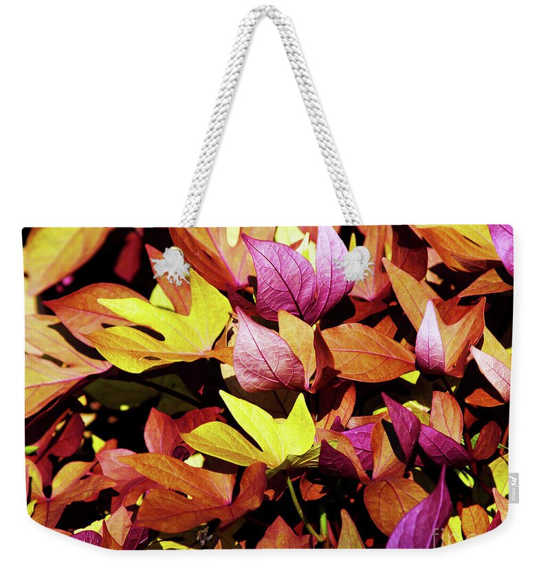 Fine Art Photography Weekender Tote Bag featuring the photograph Nature's Palette by Patricia Griffin Brett