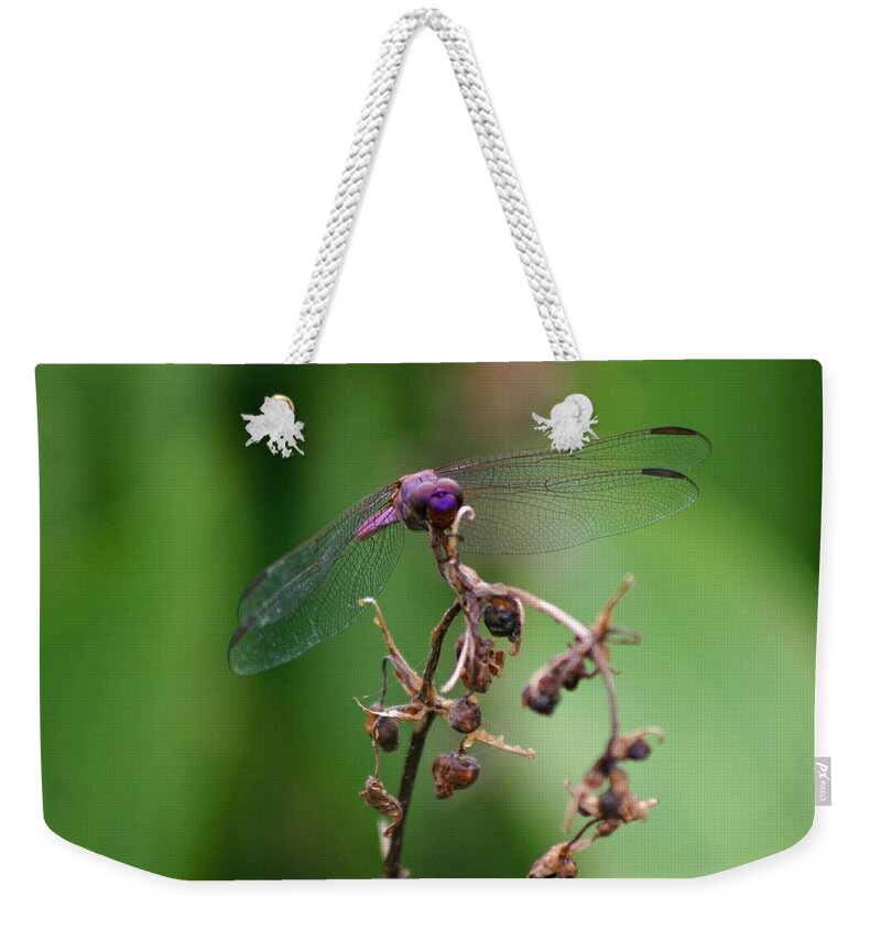 Pink Weekender Tote Bag featuring the photograph Dragonfly - Nature's Rose #1 by Lora Tout