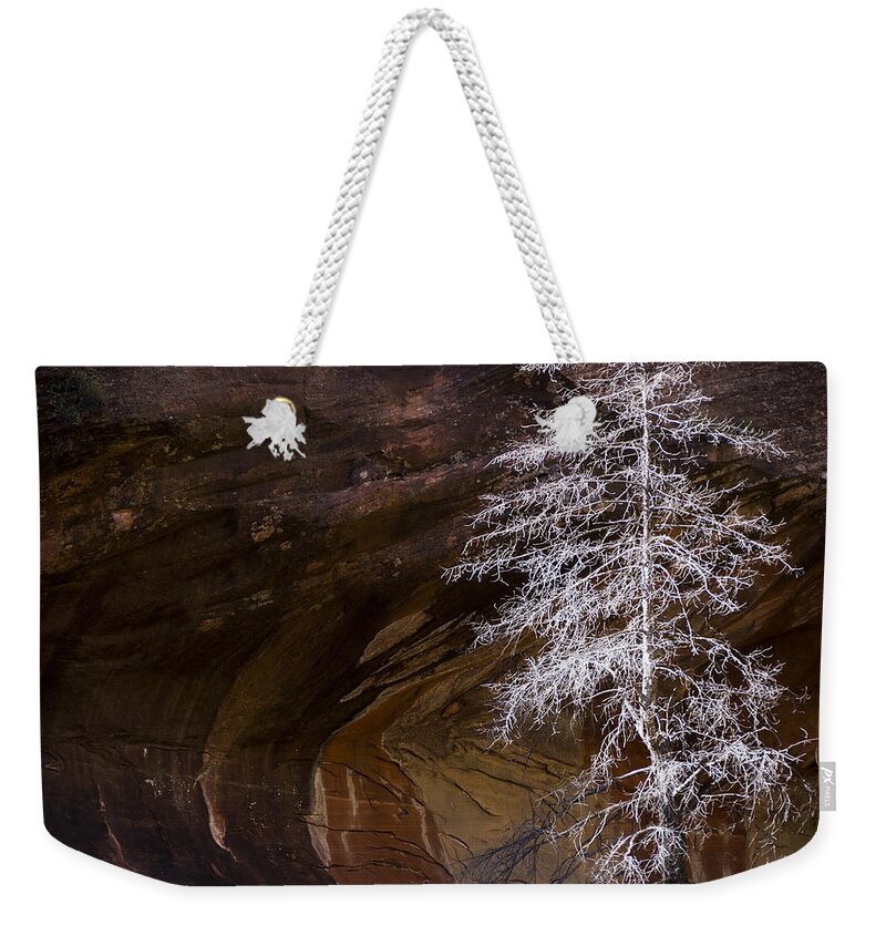 Tree Weekender Tote Bag featuring the photograph Nature's Simplicity by Saija Lehtonen