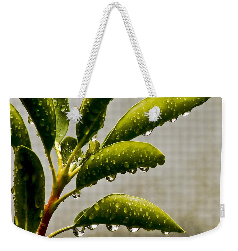 Nature Weekender Tote Bag featuring the photograph Natures Teardrops by Carol F Austin