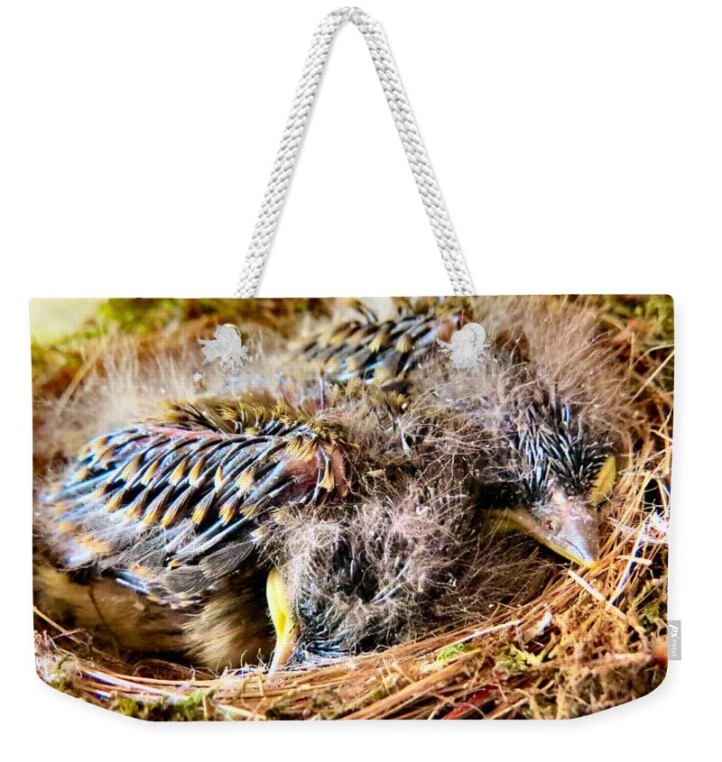 Bird Weekender Tote Bag featuring the photograph Nestled by Art Dingo